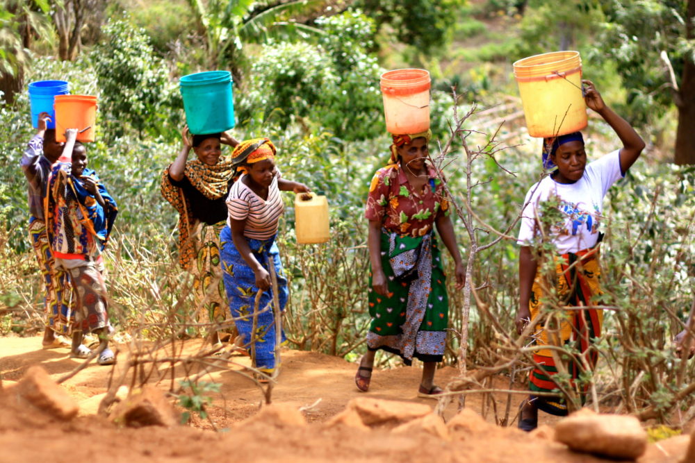 Women, Water & Leadership Webinar - Soroptimist International