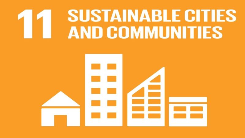 Sustainable Cities and COVID-19: Plans for Action - Soroptimist ...